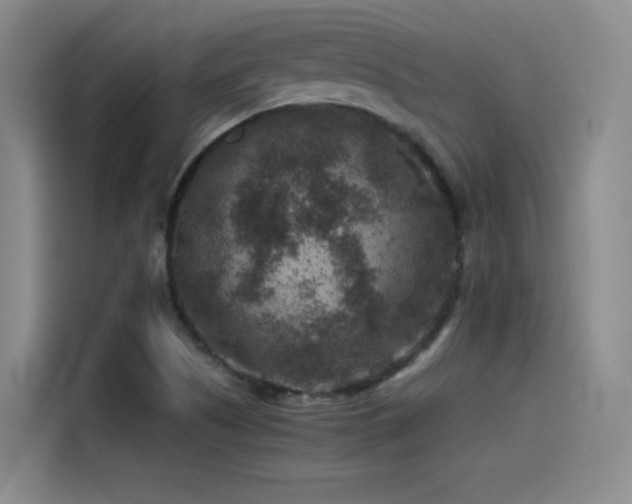 X0000115511505200911061346