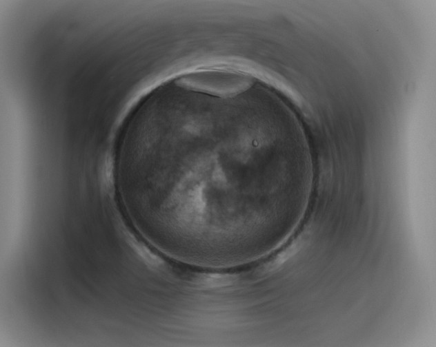 X0000115511506200911061346