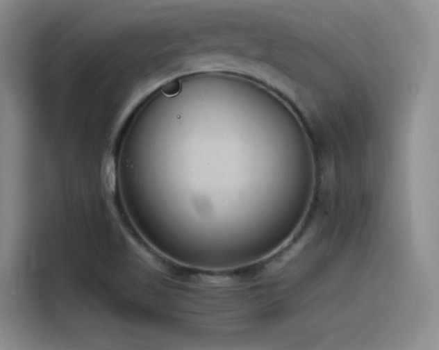 X0000115511509200911061346