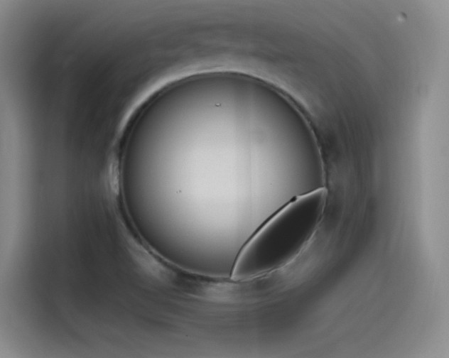 X0000115511510200911061346
