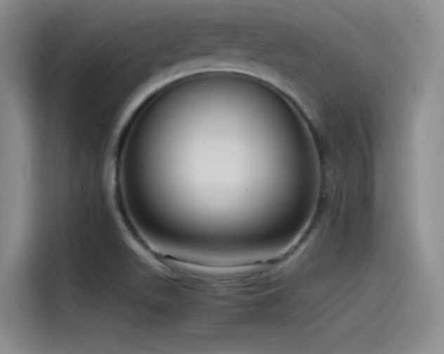 X0000115511511200911061346