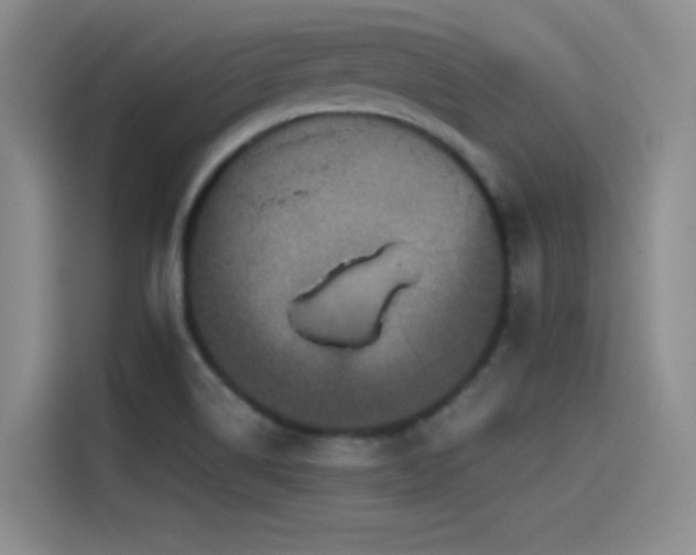 X0000115511514200911061346