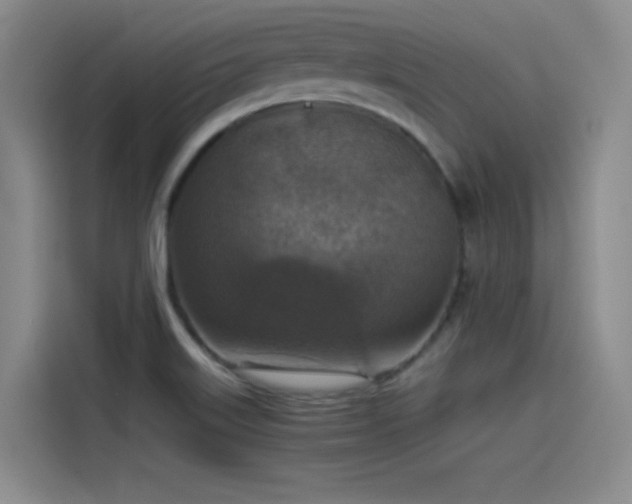 X0000115511515200911061346