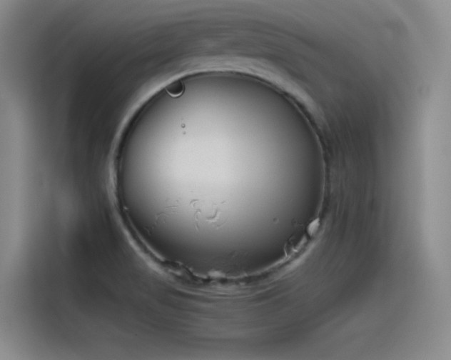 X0000115511517200911061346