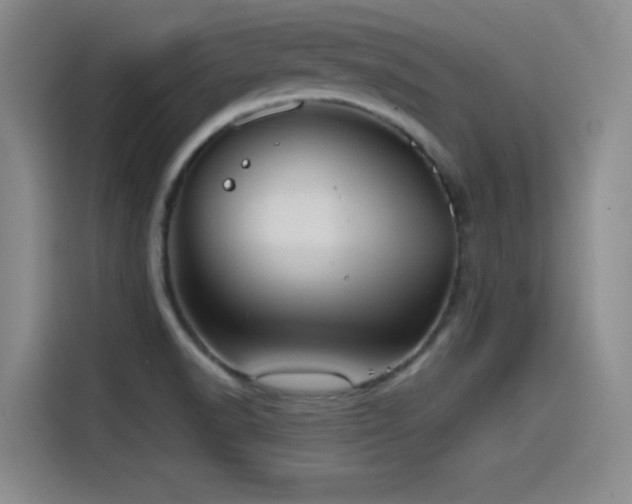 X0000115511518200911061346