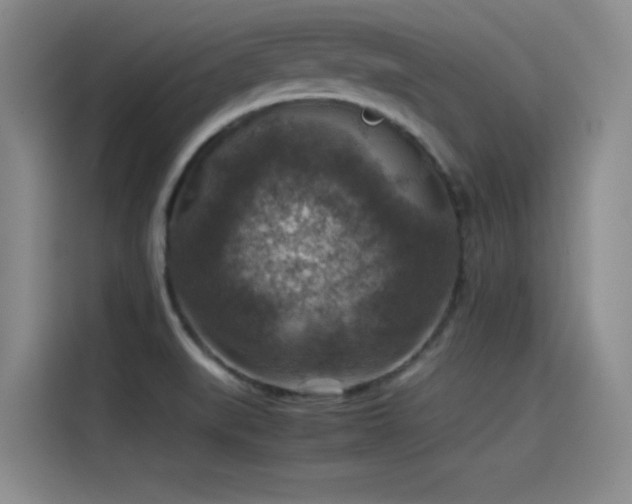 X0000115511519200911061346