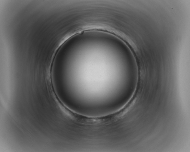 X0000115511521200911061346