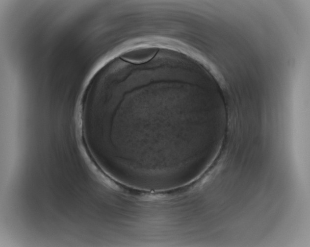 X0000115511522200911061346