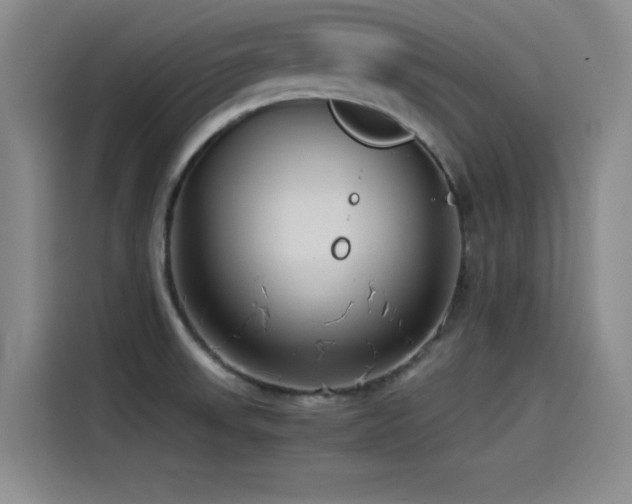 X0000115511523200911061346
