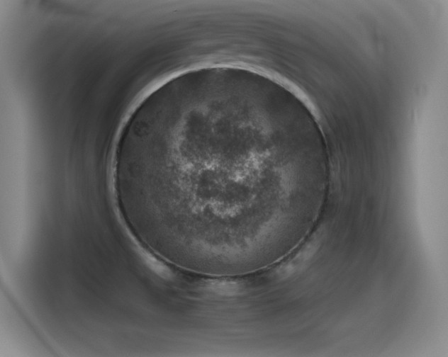 X0000115511525200911061346