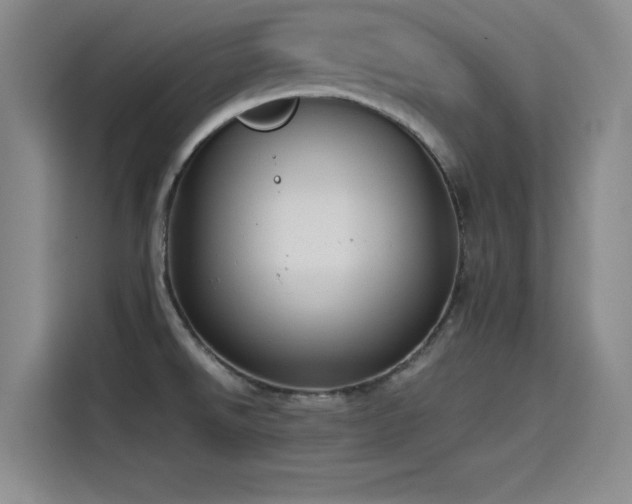 X0000115511526200911061346