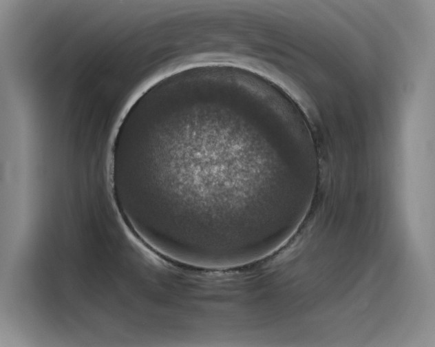 X0000115511527200911061346