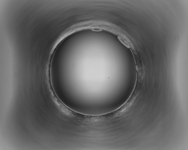 X0000115511530200911061346