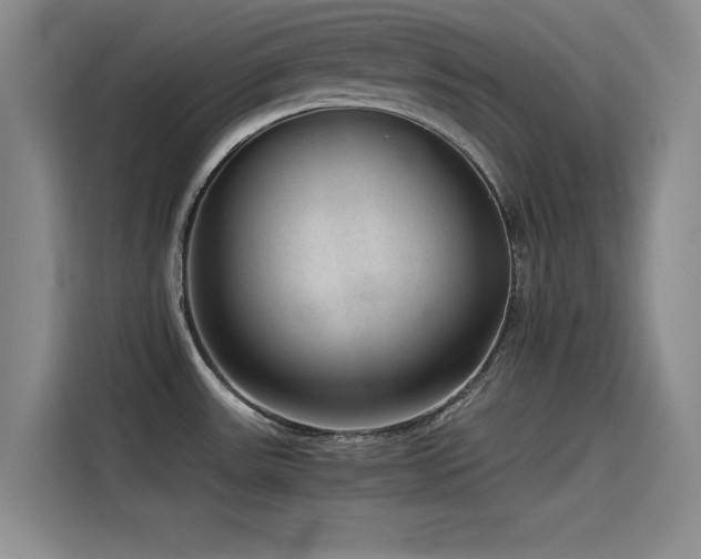 X0000115511531200911061346