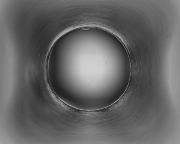 X0000115511534200911061346