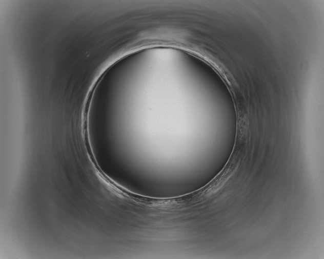 X0000115511535200911061346
