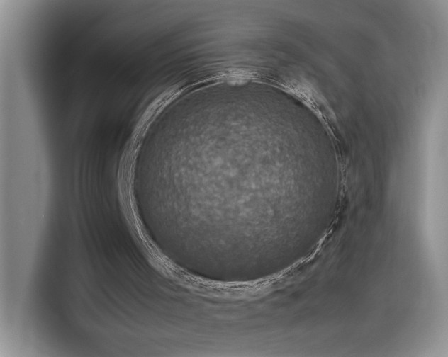 X0000115510001200911131350