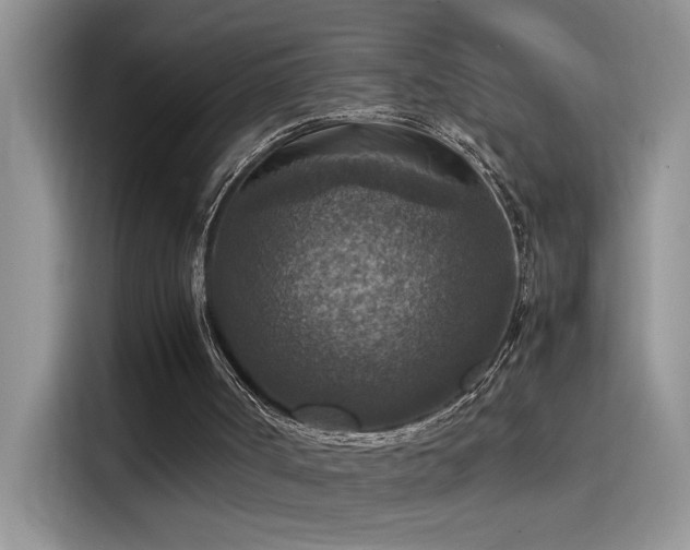 X0000115510002200911131350