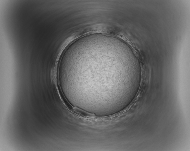 X0000115510003200911131350