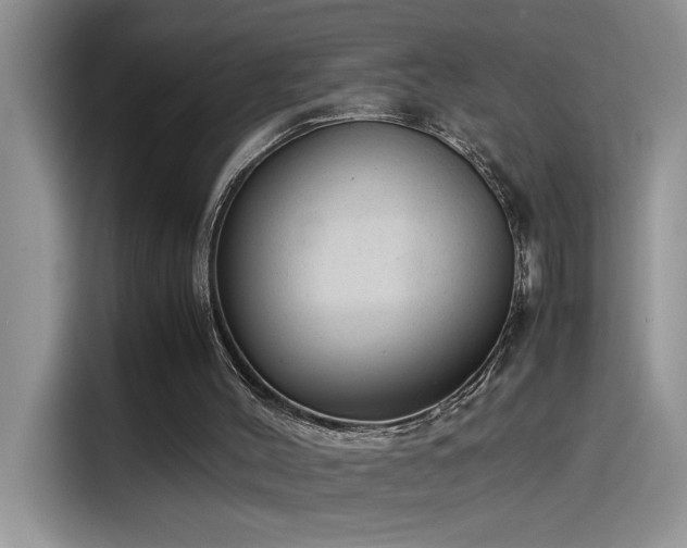 X0000115510004200911131350