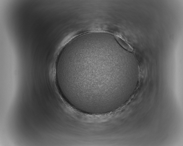 X0000115510005200911131350