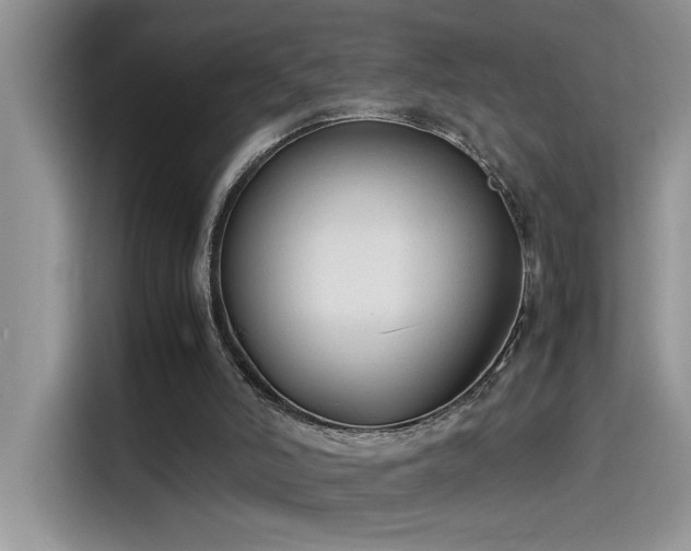 X0000115510006200911131350