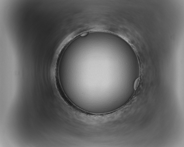 X0000115510007200911131350