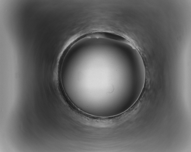 X0000115510008200911131350