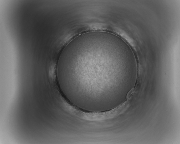 X0000115510009200911131350