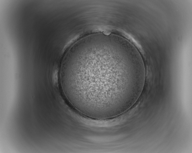 X0000115510010200911131350