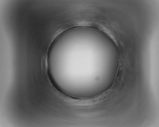 X0000115510011200911131350