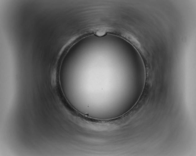 X0000115510012200911131350