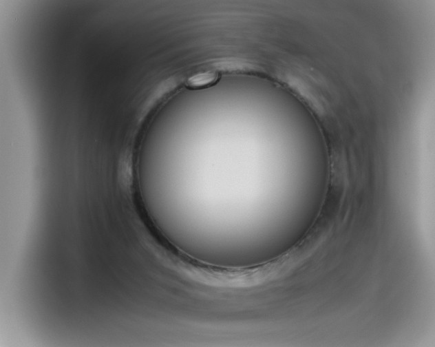 X0000115510015200911131350