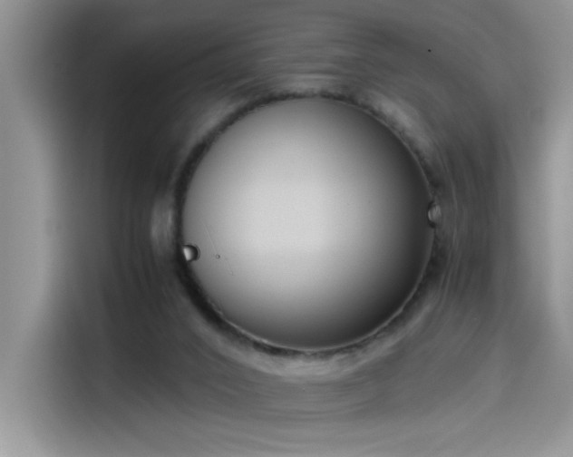 X0000115510016200911131350