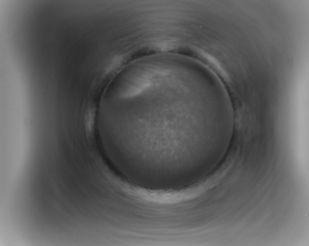 X0000115510018200911131350