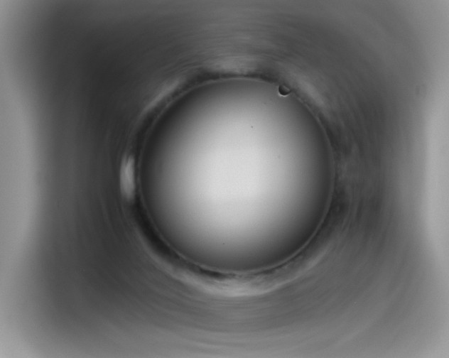 X0000115510020200911131350