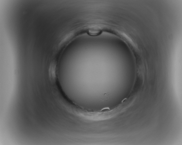 X0000115510023200911131350