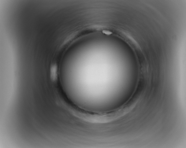 X0000115510024200911131350