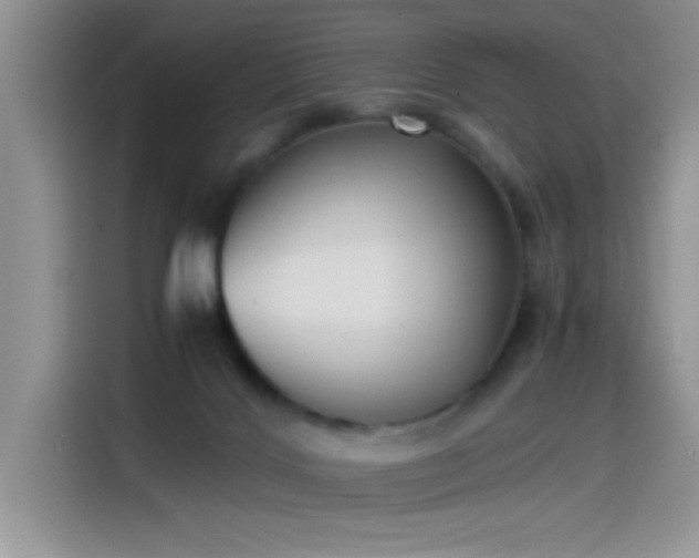 X0000115510028200911131350