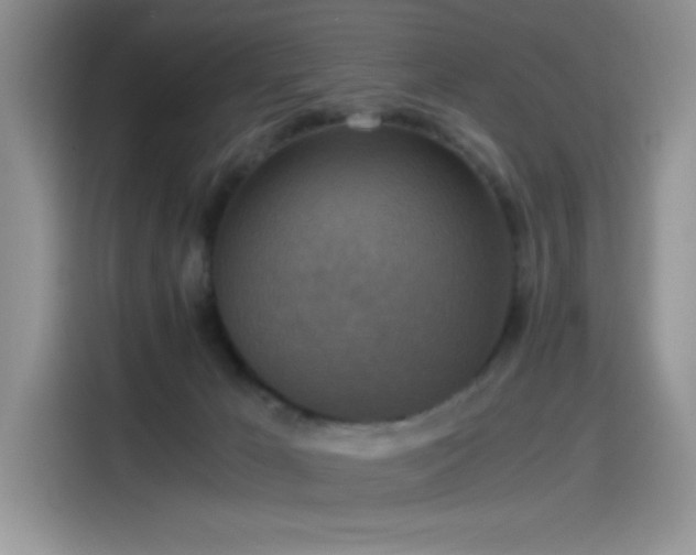 X0000115510029200911131350