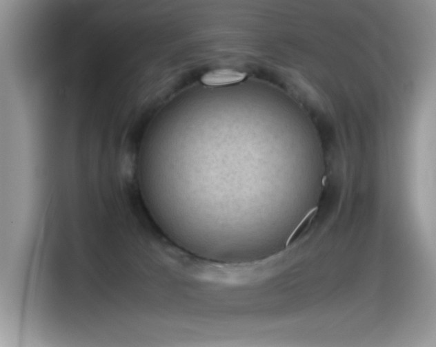 X0000115510033200911131350