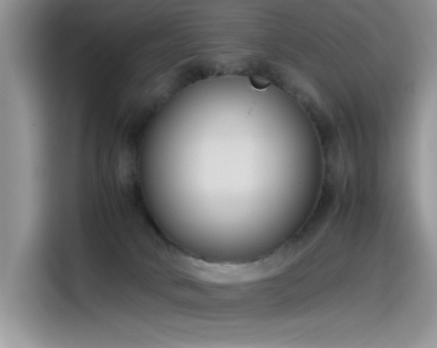 X0000115510034200911131350