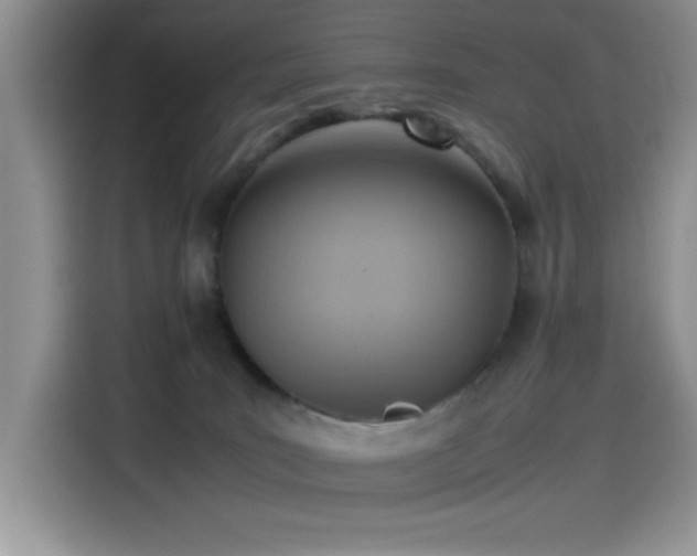 X0000115510035200911131350