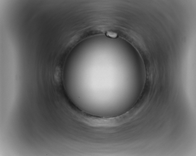 X0000115510036200911131350