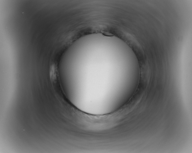 X0000115510038200911131350