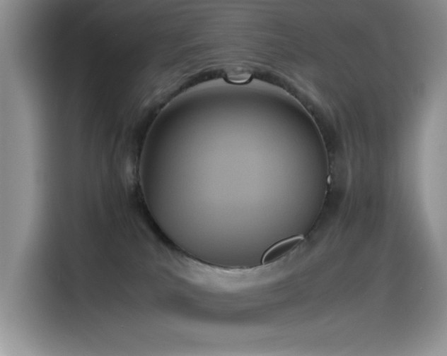 X0000115510039200911131350