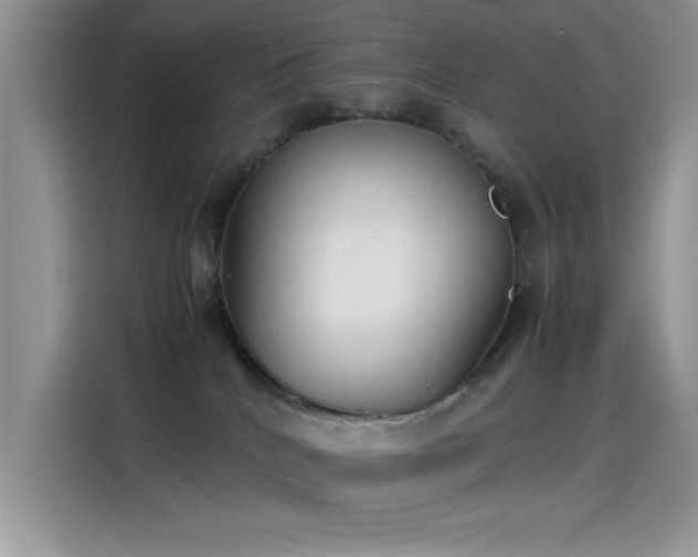 X0000115510040200911131350