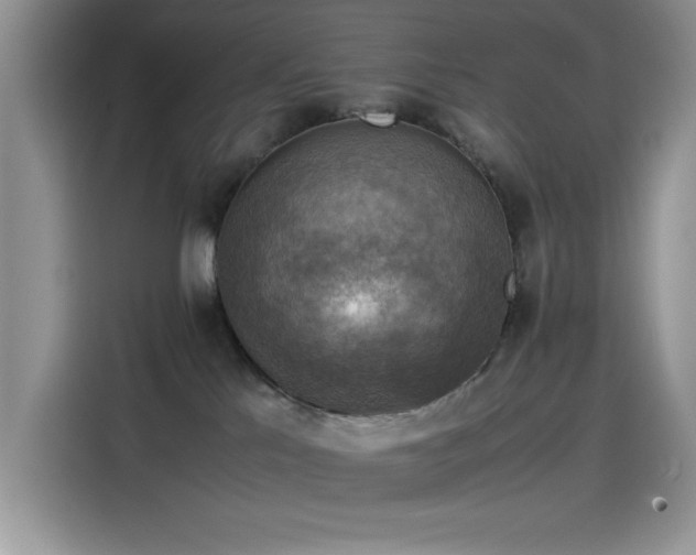 X0000115510041200911131350