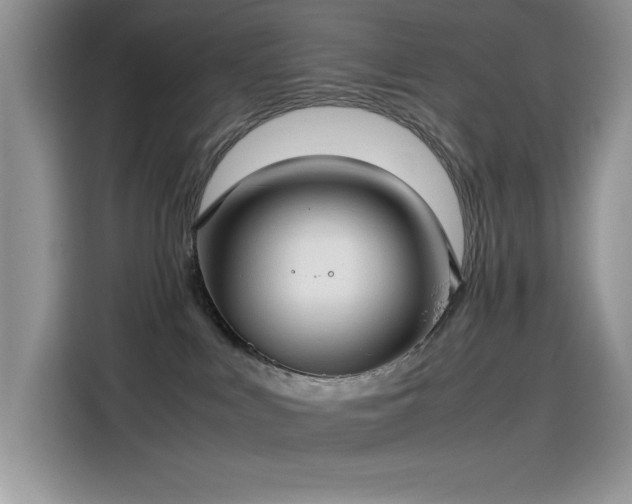 X0000115510043200911131350