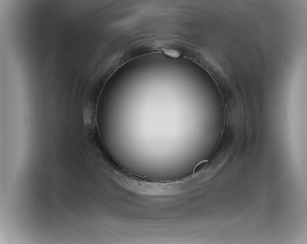 X0000115510044200911131350